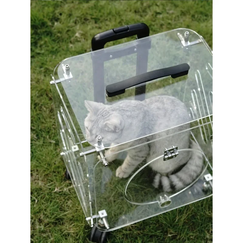 New Arrival Transparent Cat Carrier Large Capacity Pet Luggage Bag with Wheels