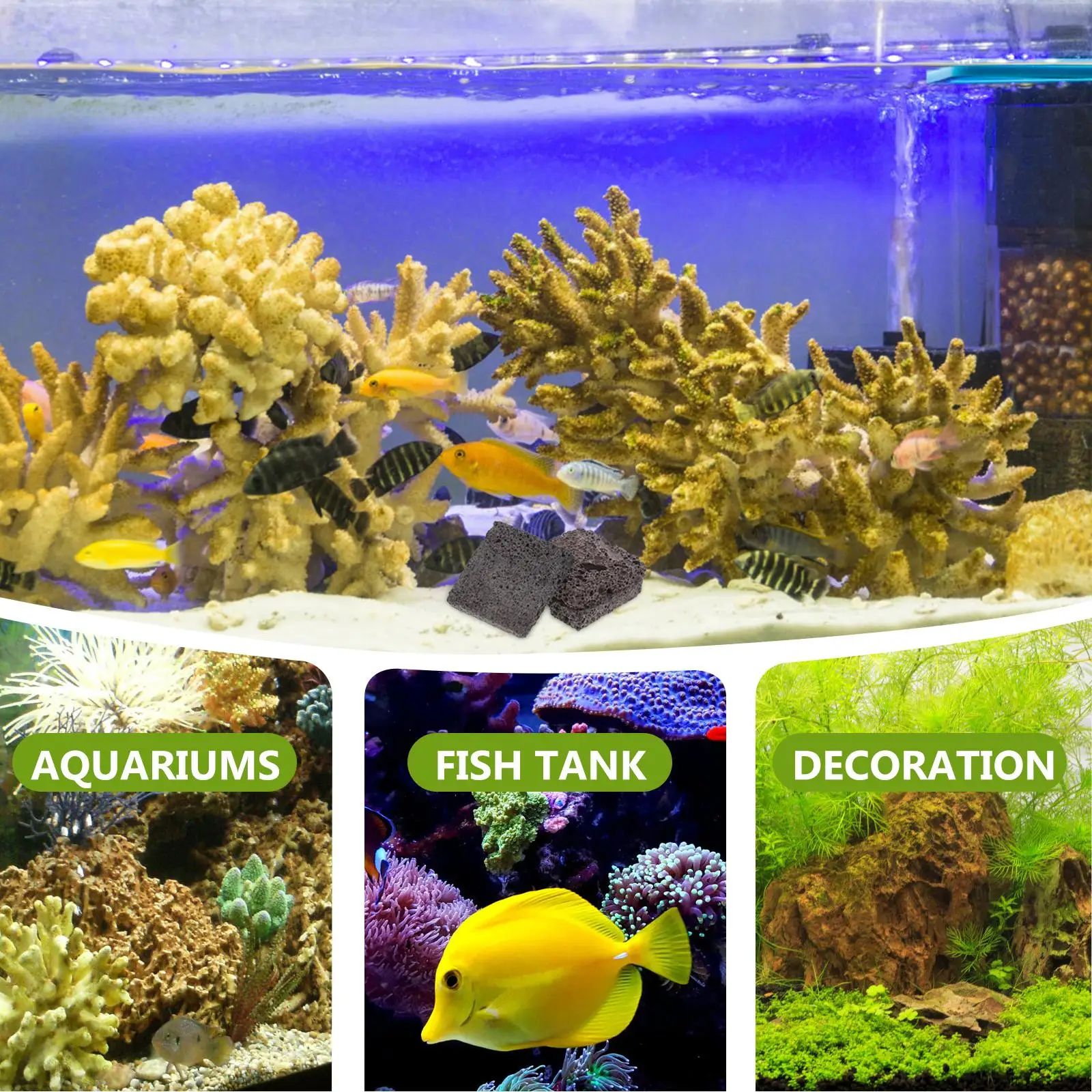  3 Pcs Aquatic Planting Film Aquarium Rock Cave Freshwater Decor for Shrimp Root Tabs Volcanic Lava Weight Stone Weights