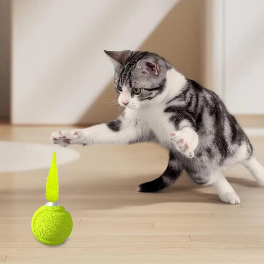

With Sound Interactive Cat Ball With Feathers Self-entertainment Training Pet Bouncy Ball TPU Pet Teething Toy Boredom Relief