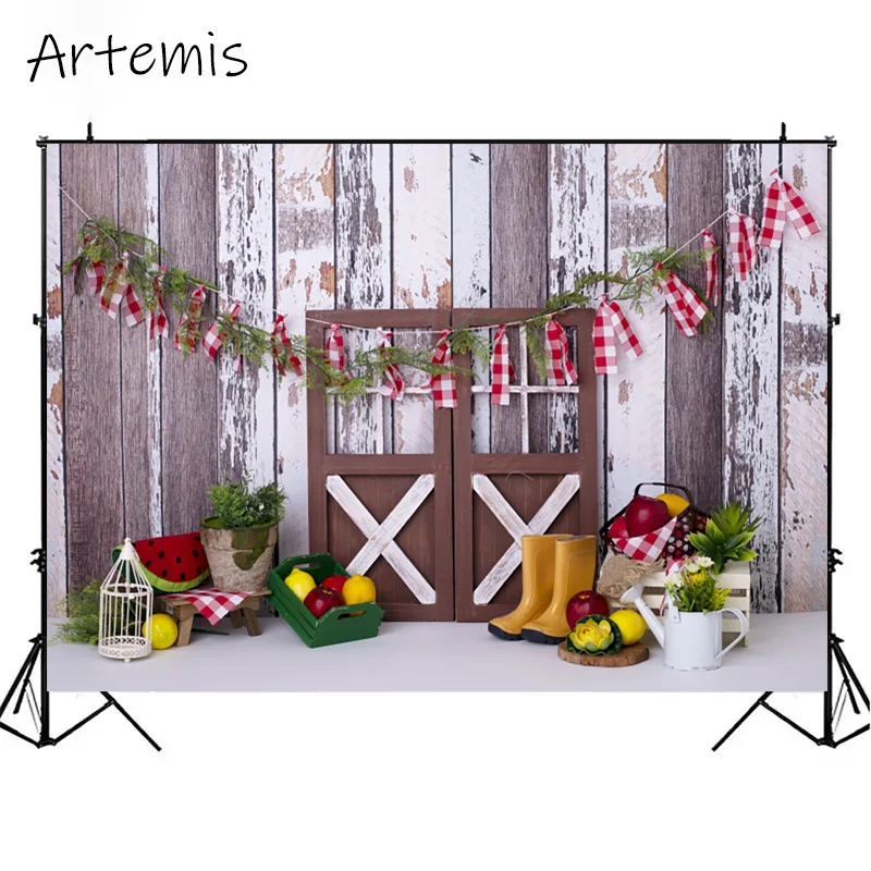 Kindergeburtstag Porträt Foto Hintergrund Holztür Wassermelone Stiefel Kuchen Zerschlagen Dekorieren Hintergrund Kunst Fotografie Requisiten Studio