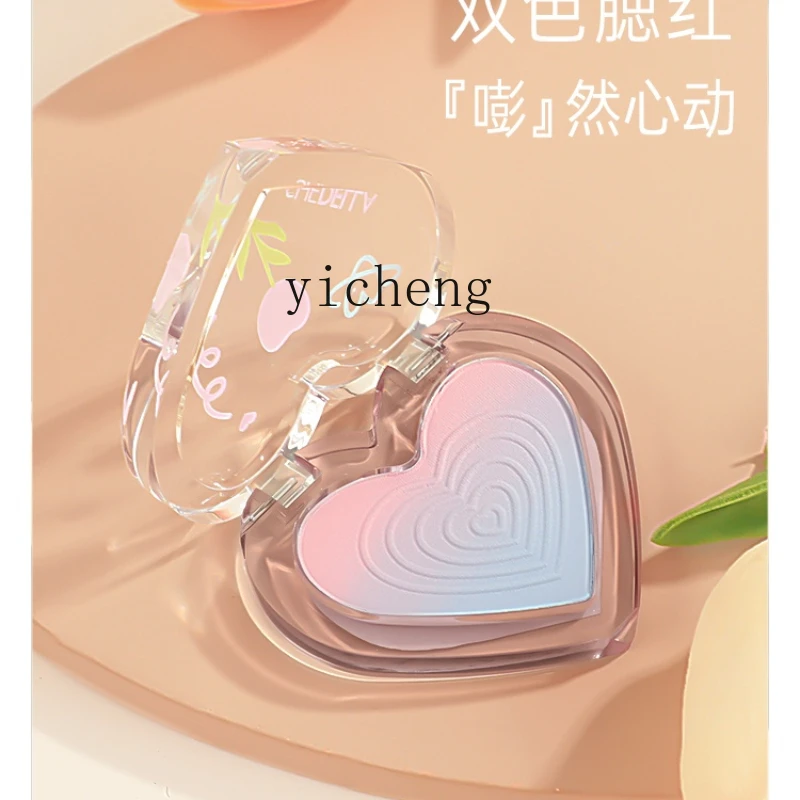 YY Blush Expansion Color Gradient Gills Blue Gills Purple Green Beige Matte Rouge Contour Compact