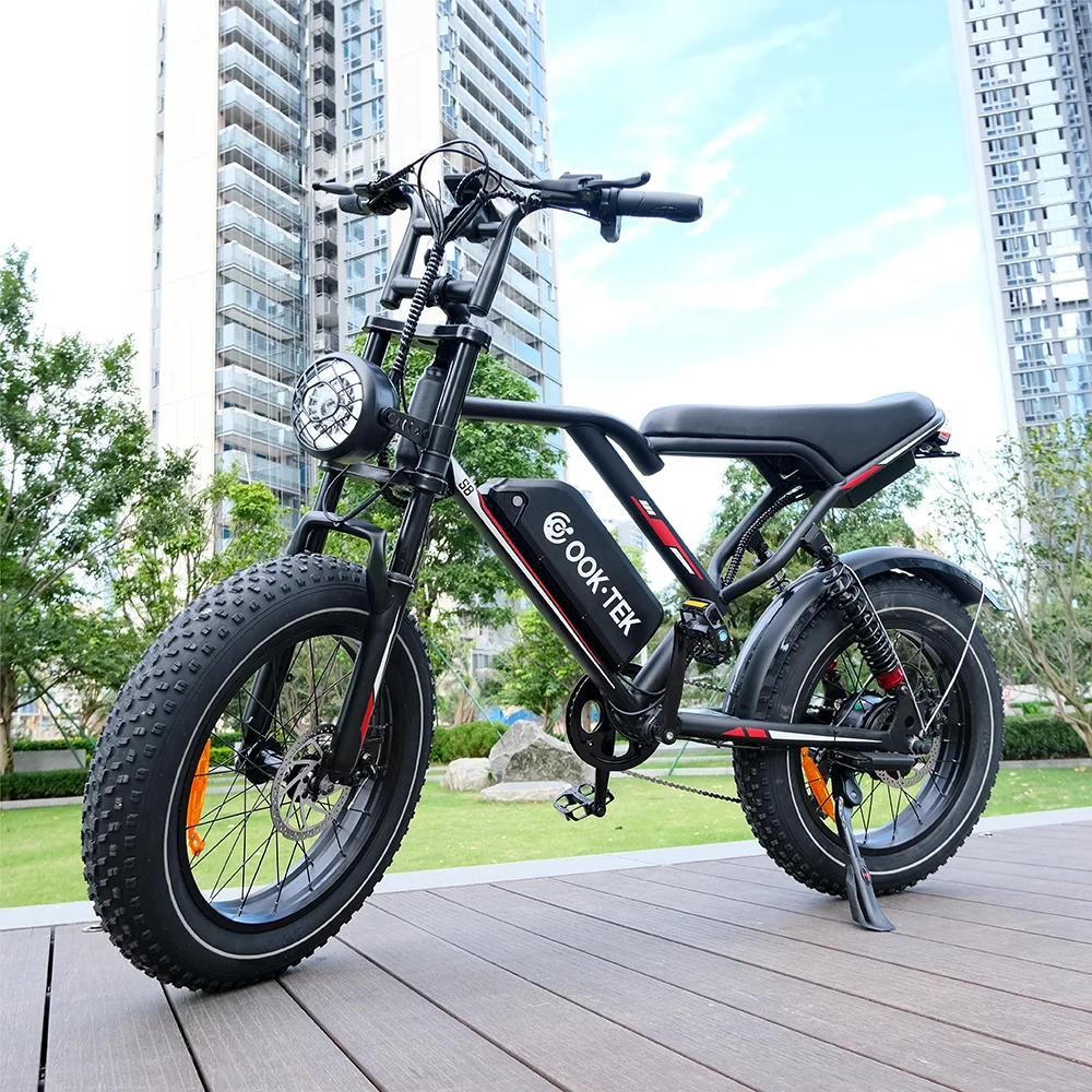 

2000W 1000W Power Long Range 48V Electric Bicycle with Dual Single Rear Hub Motor & Down Tube Lithium Battery Popular US EU DIY