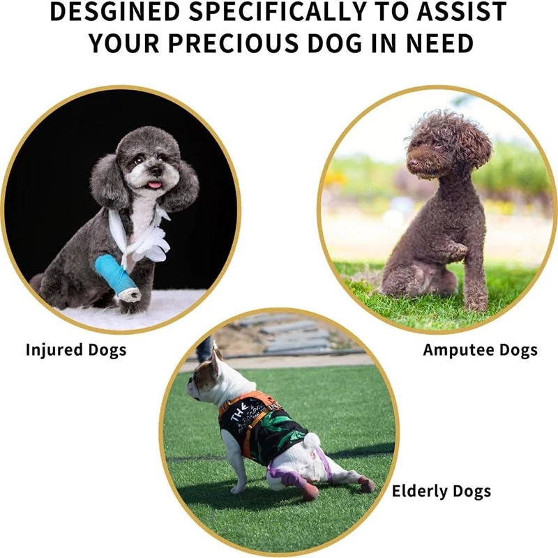 Rehabilitation Dog Sling Carrier with Padded Straps | Breathable Hip Support for Hind Legs | True Color Shown in Photos (Multi-C