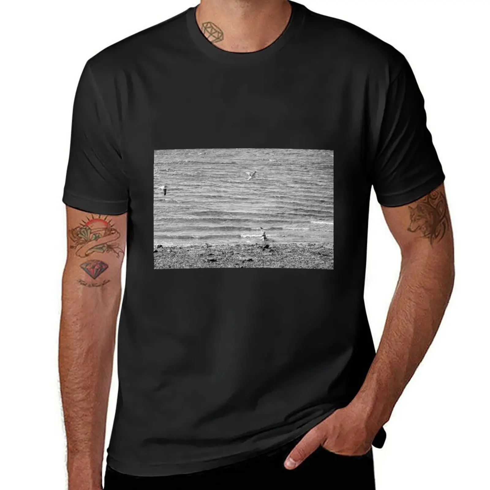 Seagulls searching for food T-Shirt summer clothes quick-drying mens tall t shirts