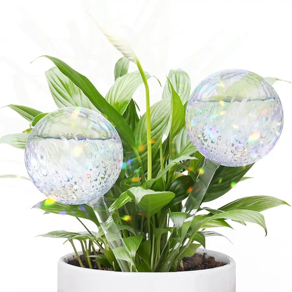 

Самополивающиеся шары для растений, 2 шт., для комнатных растений, RainbowGlass, автоматический полив для растений