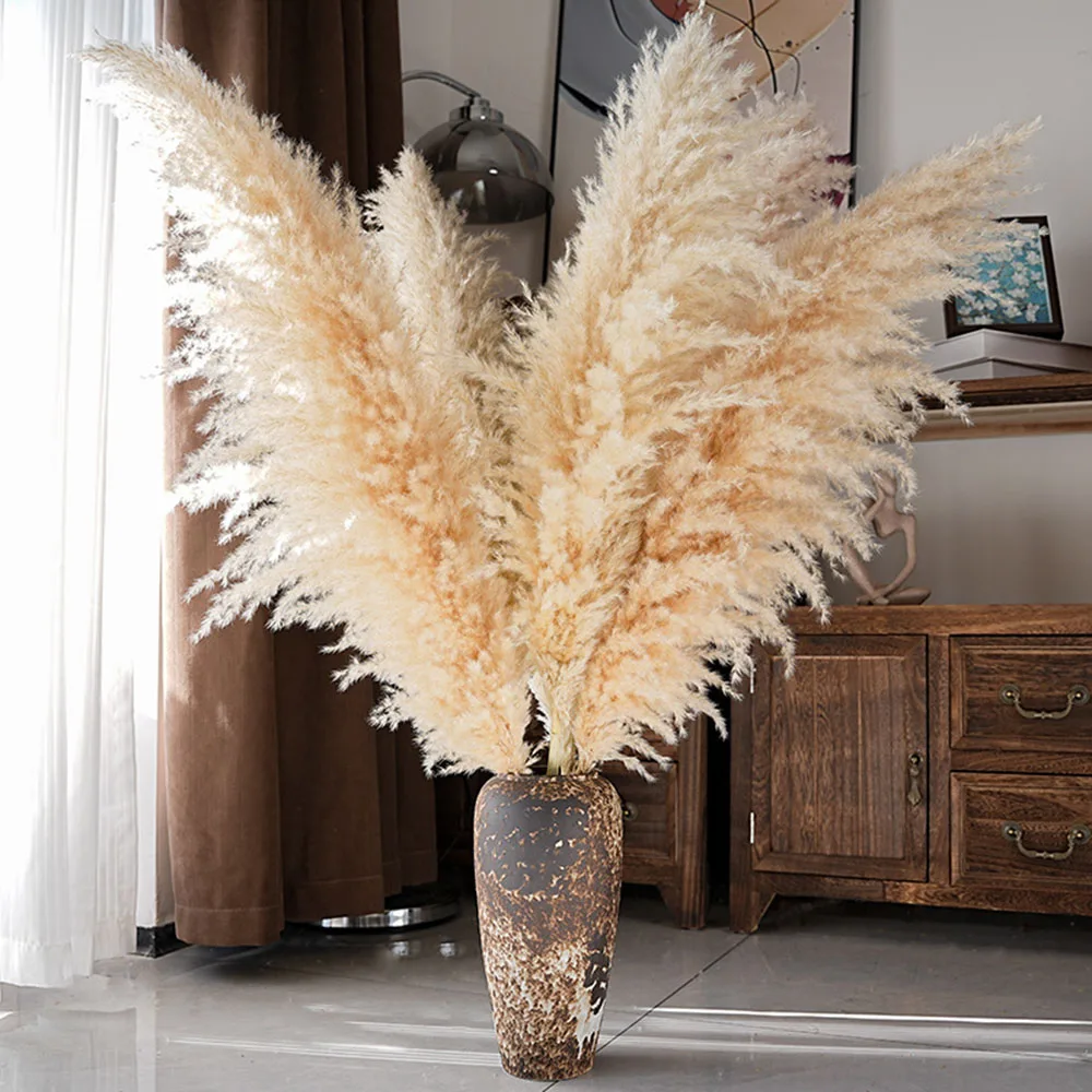 Natural Dried Real Pampas Grass Large Fluffy Tall Stems 10/30pcs for Floor Vase Living Room Bedroom Home Decor Wedding Centerpiece Bridal Bouquet Boho Rustic Farmhouse Fall Thanksgiving Decor Plumas De Pampas