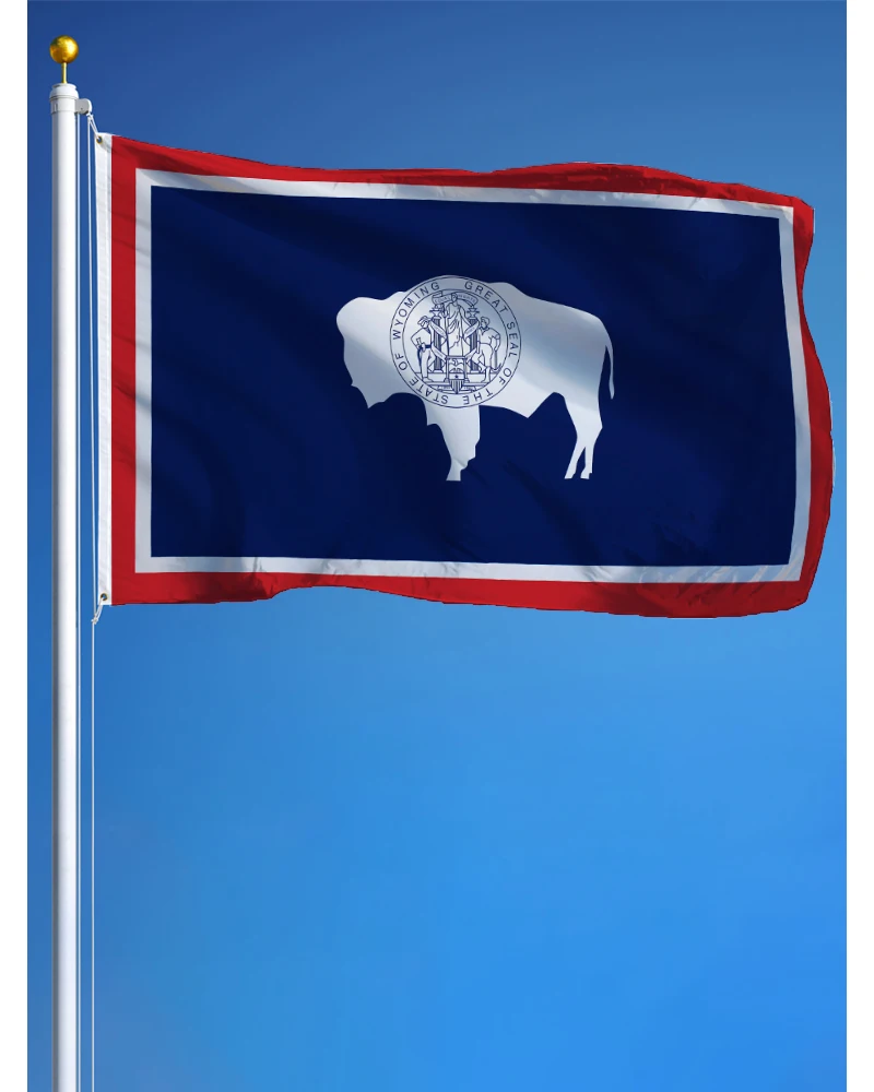 3X5 Foot Wyoming St…