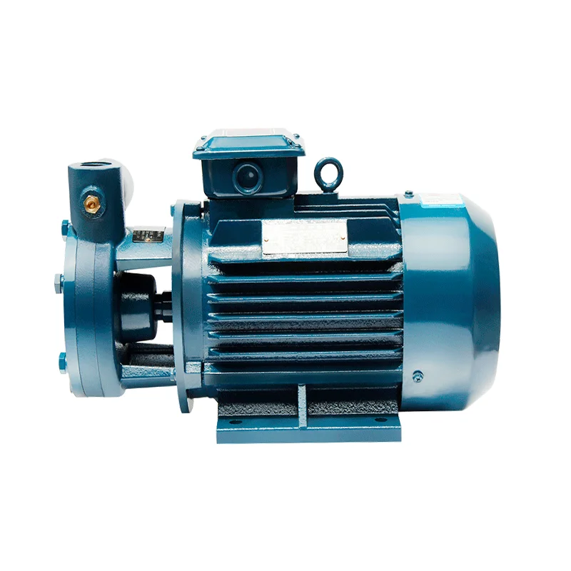 New High-End Listing Self-Priming Clean Water Circulation Portable Vortex Pump for Emergency Water Supply