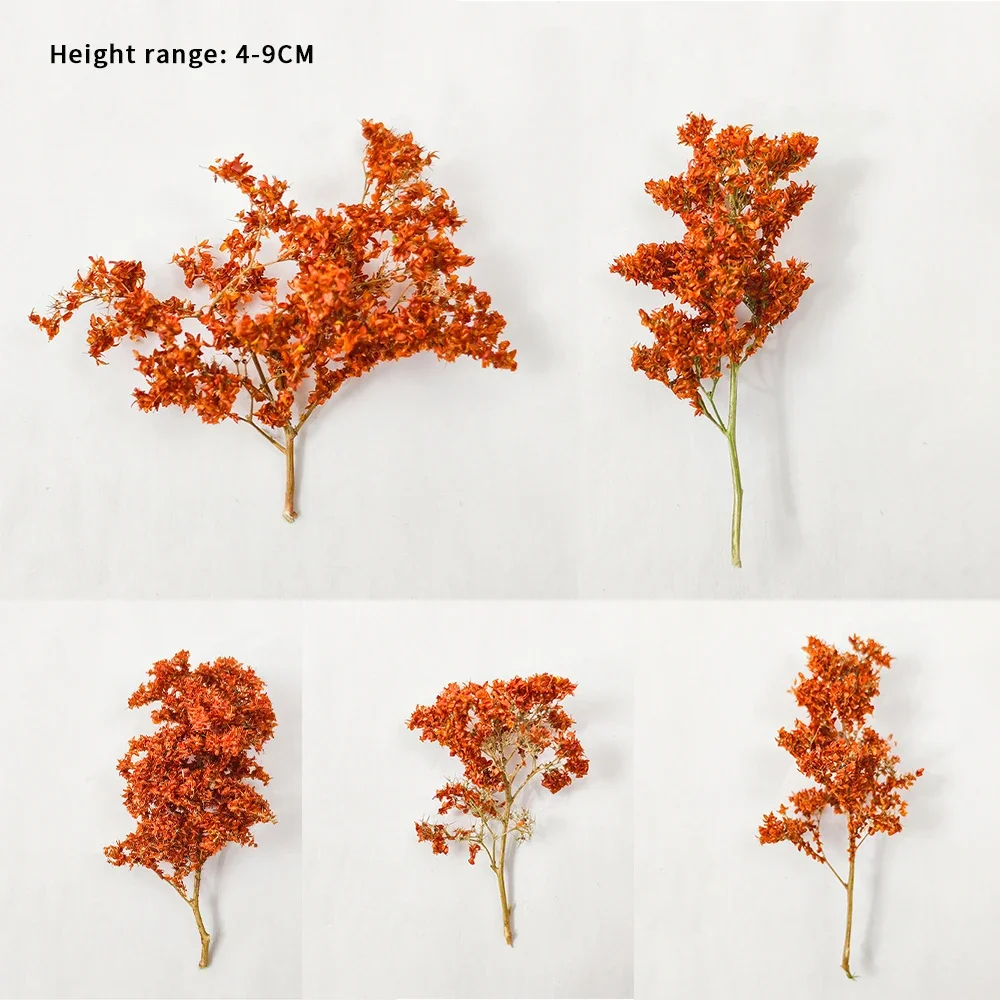 5 stks Landschapsarchitectuur Miniatuur Zeevorm Bomen 4-9 cm Realistische Bomen Model voor Diy Model Maken/Spoorweg Trein Layout/Dioramas Kits