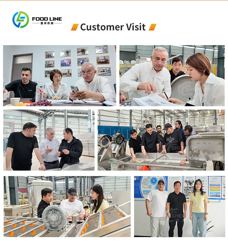 Machine à frire l'oignon automatique industrielle 300Kg/H Machine à frire l'oignon continue