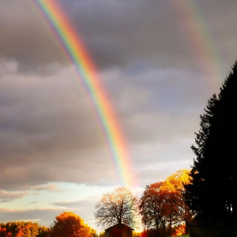 

Alloy Front Rear Axle RC Bridge Axle RC Spare Parts for Axial SCX10 II 90046 90047 RC Crawler Truck