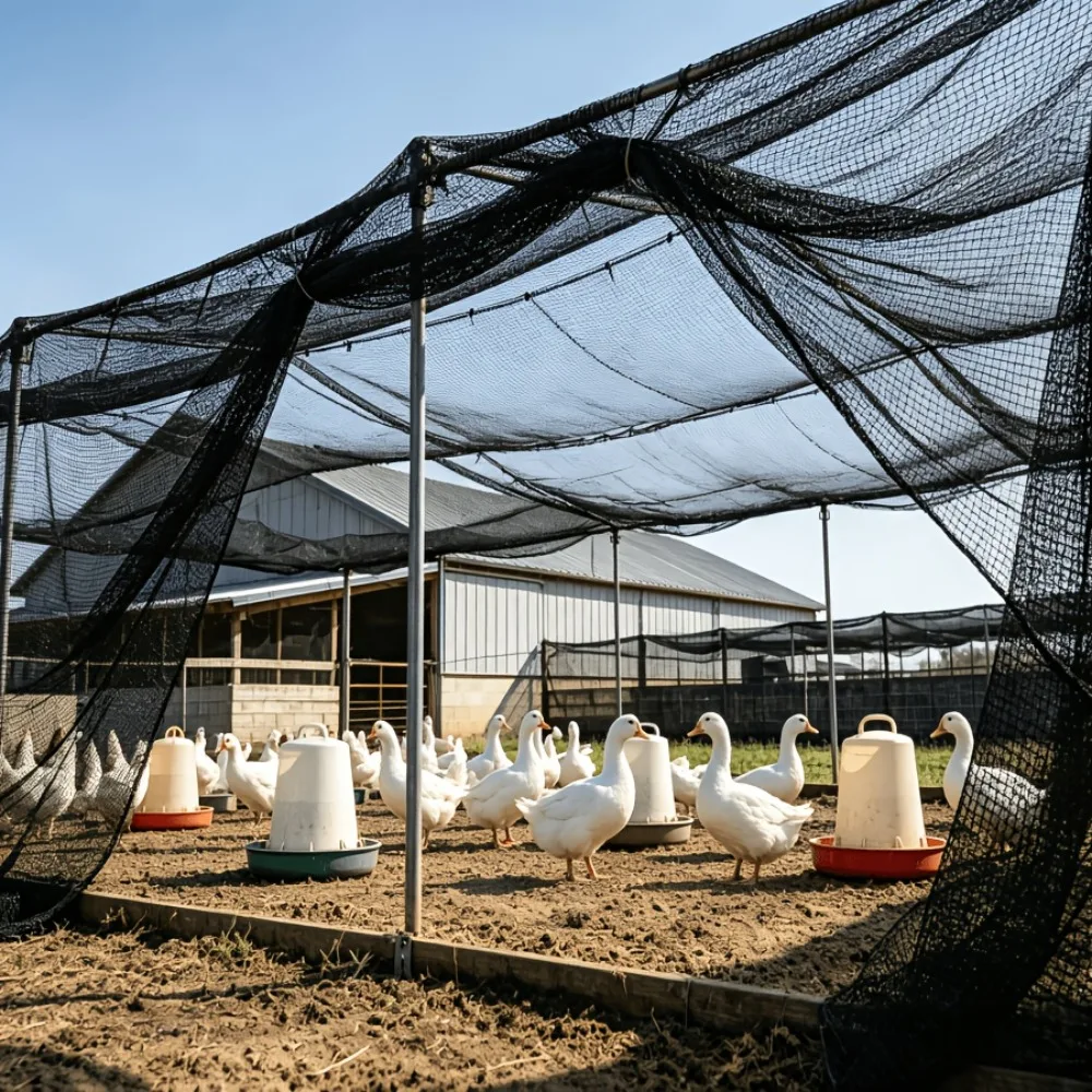Heavy-dight Poultry Netting Breathable UV-Resistant Mesh for Garden Chicken Coops Blueberry Bushes and Fruit Trees