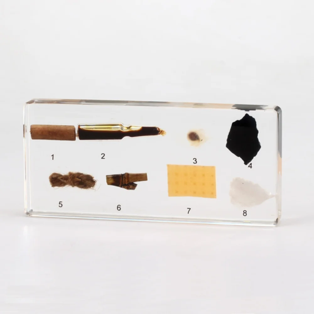 

Natural Material Specimen paperweight Taxidermy Collection embedded In Clear Lucite Block Embedding Specimen