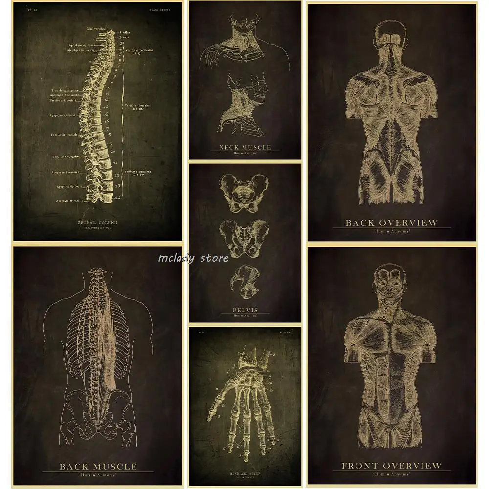 Quantity dealer！Anatomical Skeleton Chalkboard Poster Kraft Paper Posters Vintage Home Medicine  Decor Medical Art Wall Poster