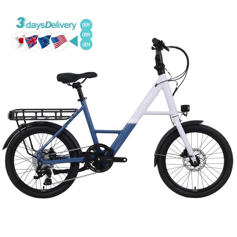 

20-Inch 9-Speed Direct From Chinese Factory Hydraulic Disc Brake Customizable Electric City Bike
