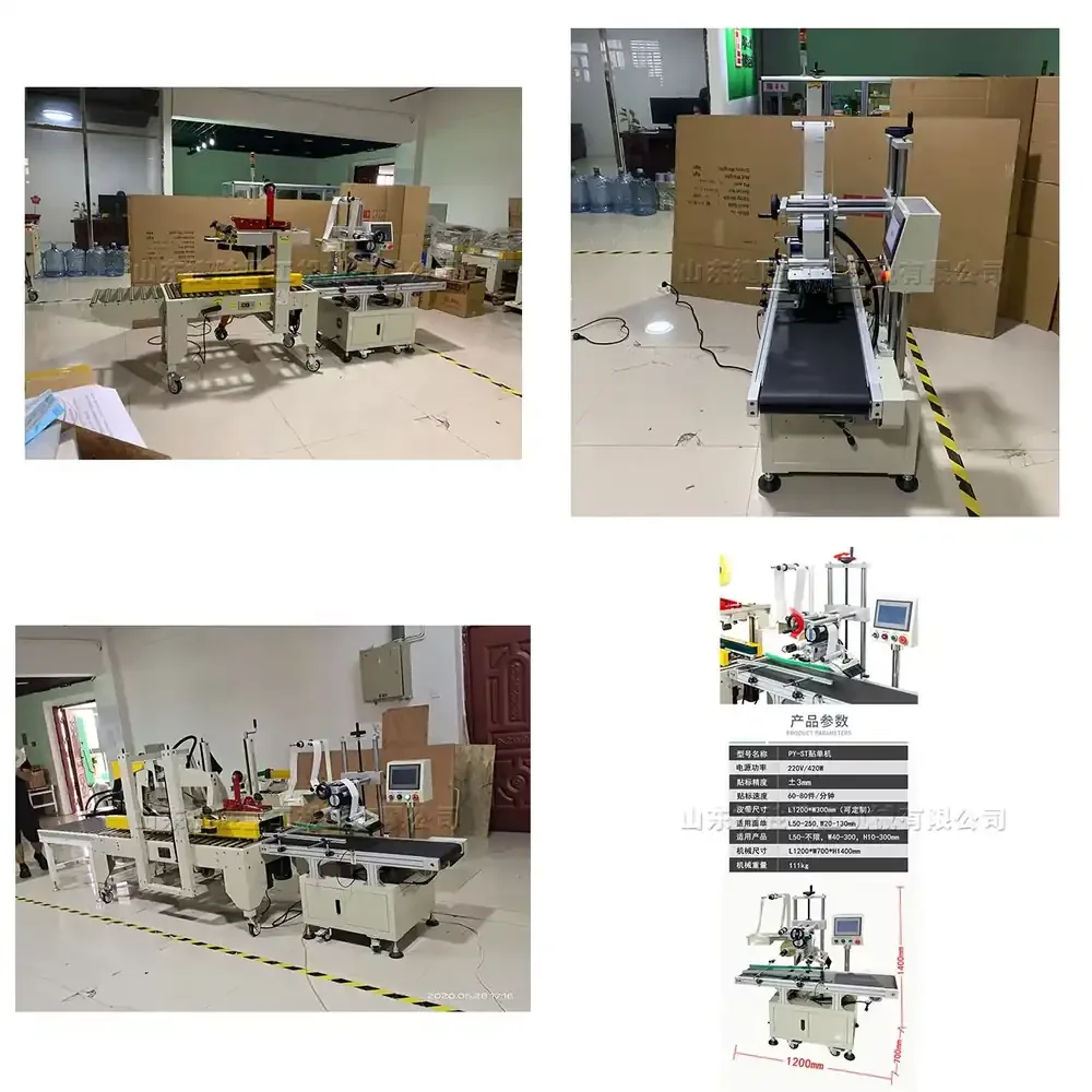 Fully Automatic Carton Packaging Folder Gluer Machine High Quality Label Brush Automatic Flat Labeling Machine for Neat and