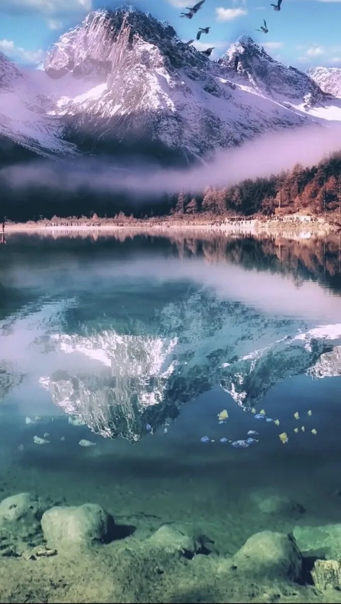 bu fa cha jia jian de lian jie