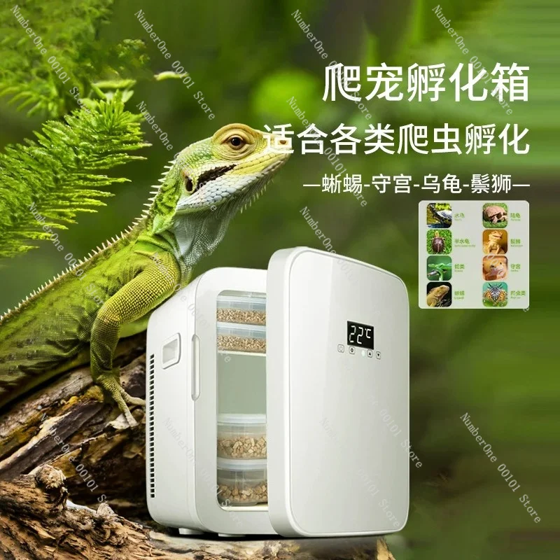Reptile Breeding Incubator, Terrarium Habitat for Turtle, Snake, Ant, Beetle and Crested Gecko