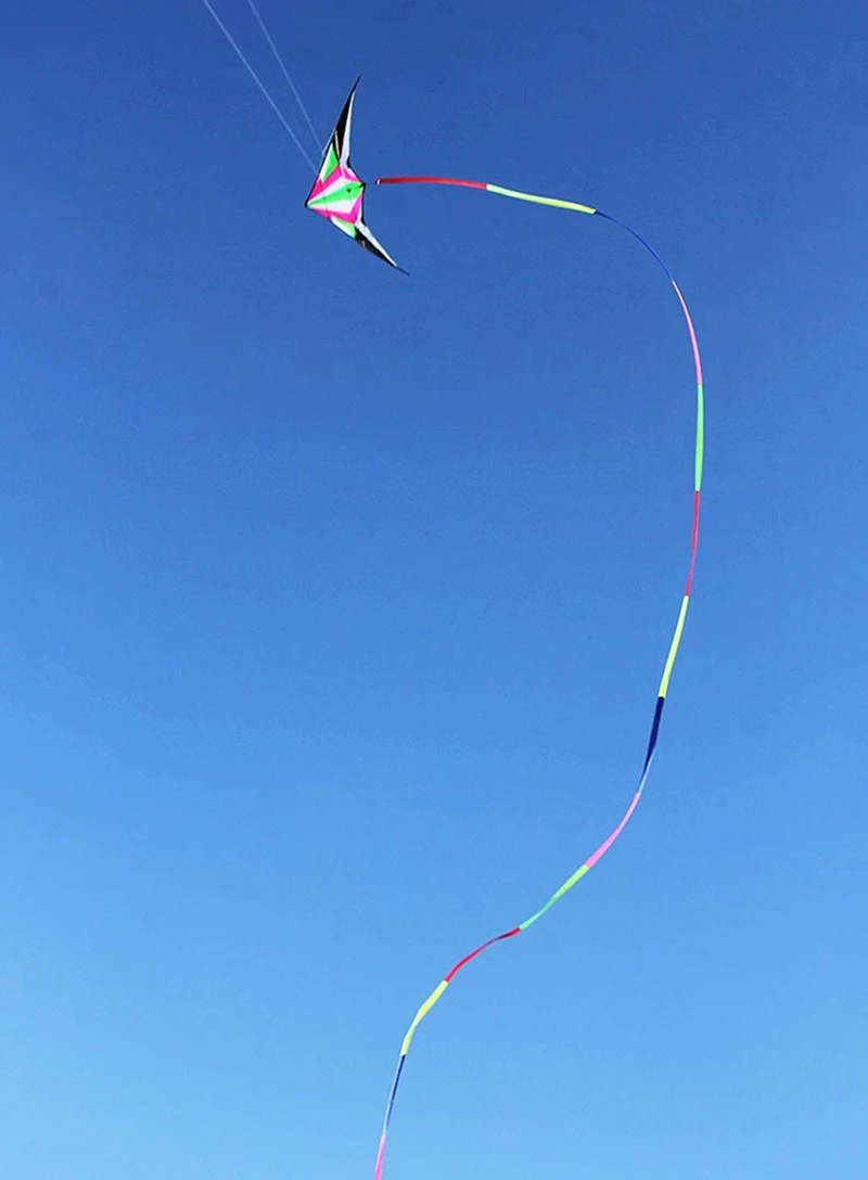 free shipping 2.4m double line stunt sports kite dragons kite windsurf flying kite kitesurf equipment Windsurfing outdoor games