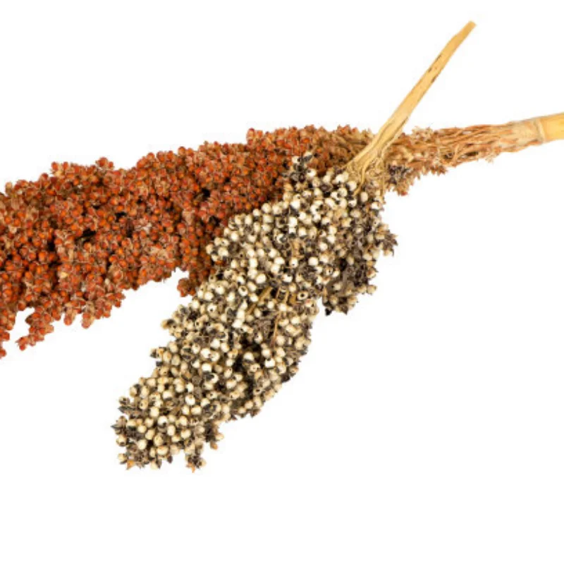 RC Boat Accessory 12-24V 13A brushless motor 4 Blade Underwater Thruster RC Bait Boat Accessory Powerful Good Replacement