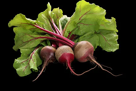 غلاف جسم مطلي بنمطين من مادة PVC لمقياس 1/18 قاعدة عجلة شاحنة التقاط R/C 145 مم