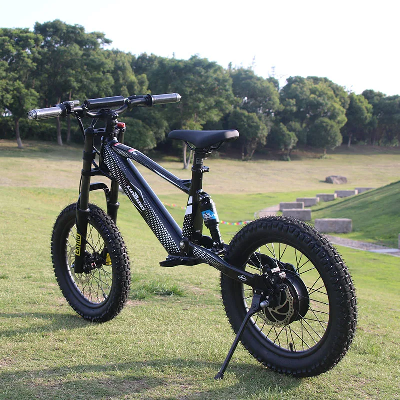 Kids Electric Bike 750W 36V Battery Fat Tire Multi Colors Children's Electric Bicycle