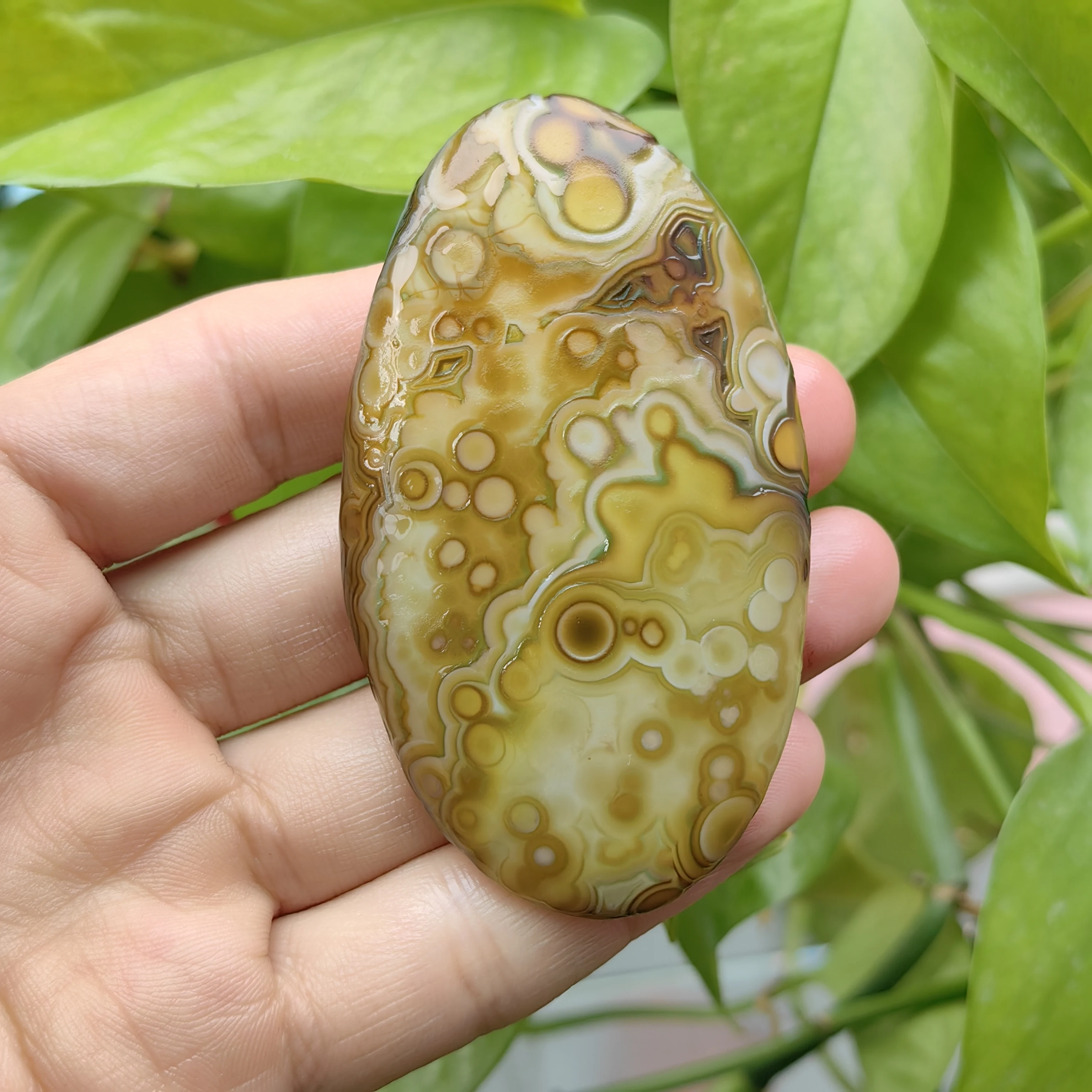 All-natura Divine Eye Agate Wishing Agate Palm Stone for Attract Wealth Good Luck Ward Off Evil Amulet Jewelry Rough Stone Gift