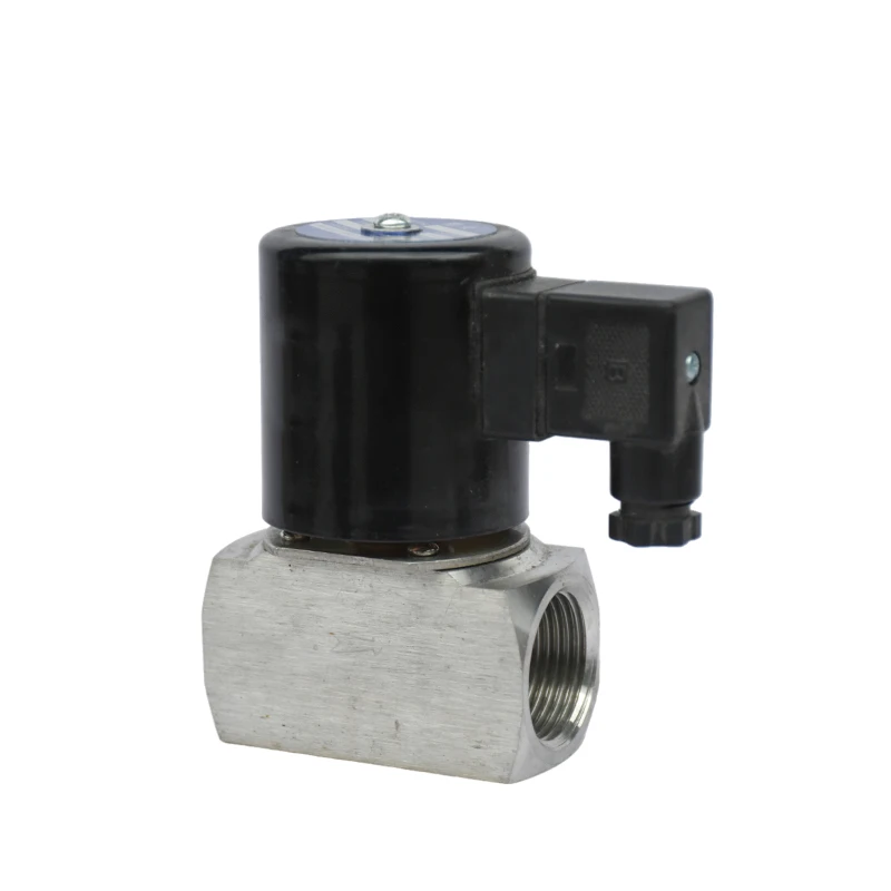 1/3PCS ZCT-15 20 25 High-Temperature Stainless Steel Solenoid Valve Boiling Water and Steam Pipeline Valve for Valves AC220v 24V