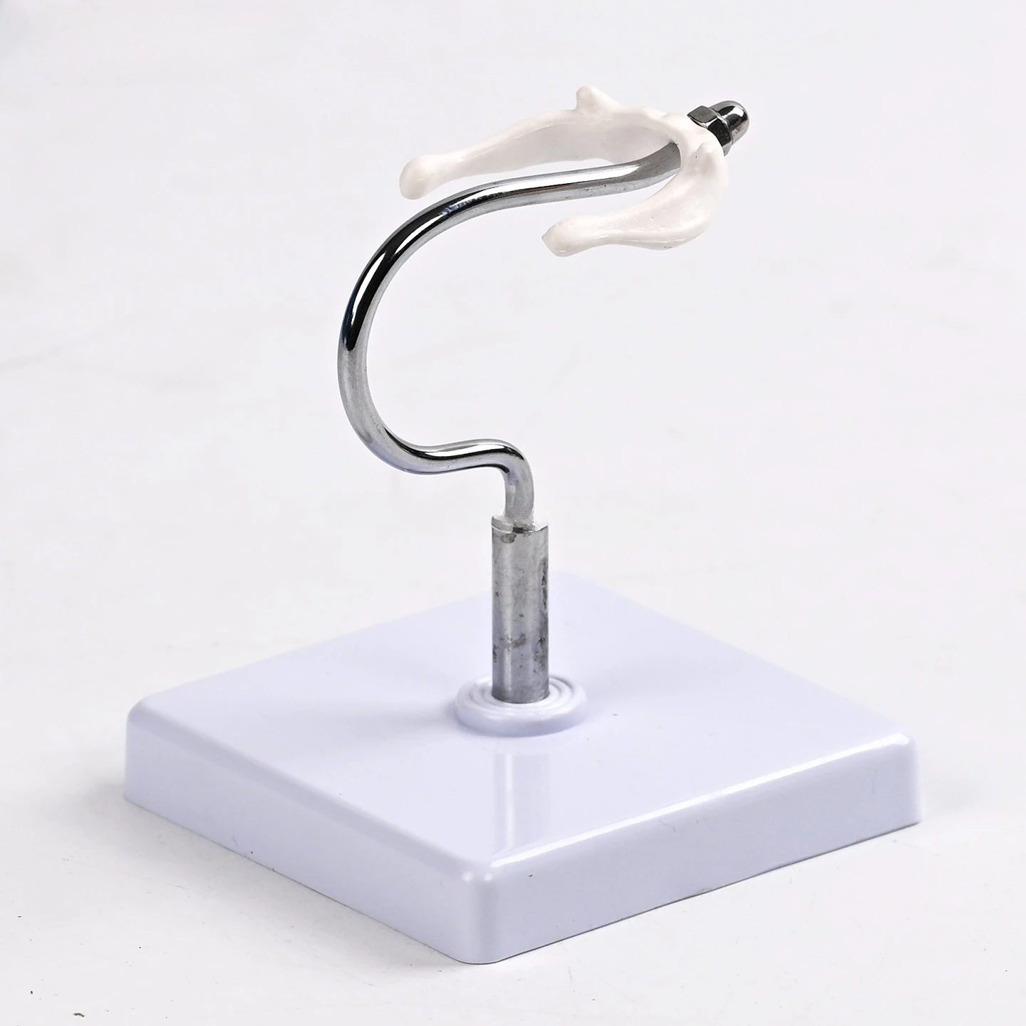 Medical hyoid bone anatomical model, larynx-related bone structure teaching model