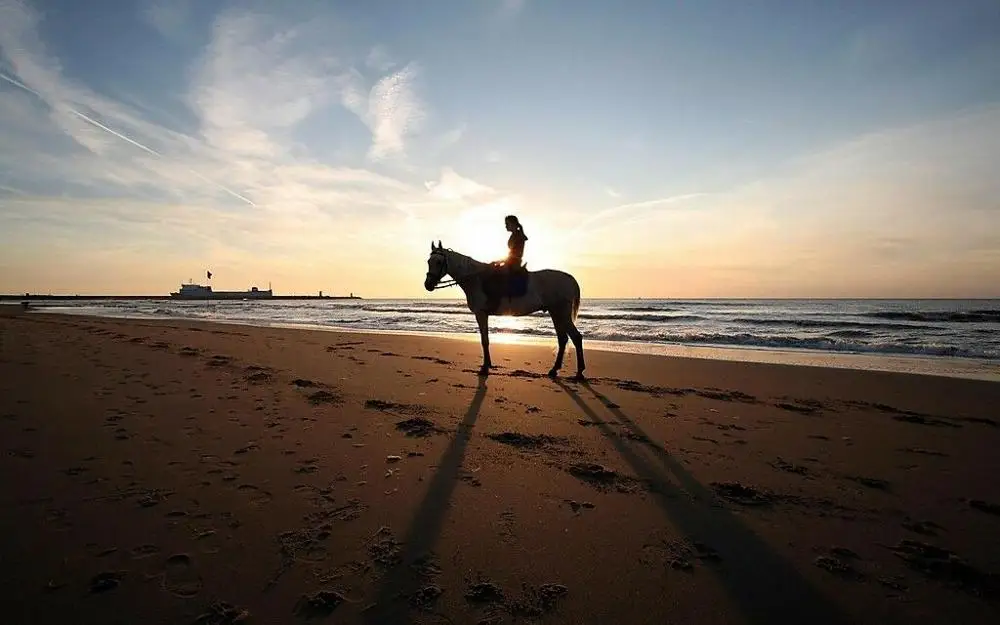 

Beach Sunset Girl on Horse Art Film Print Silk Poster Home Wall Decor 24x36inch