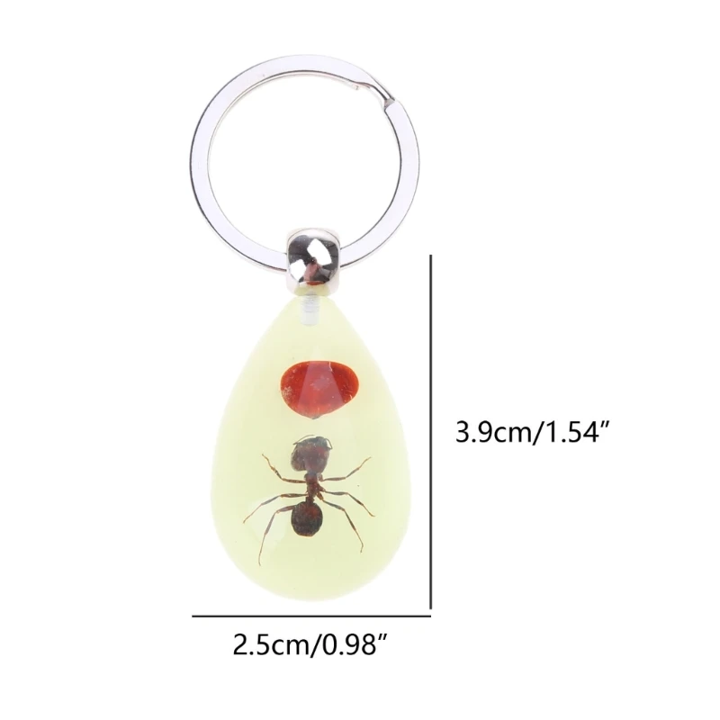 Luminous Amber Insect Keychain Black Resin for Key Ring Glow in the Dark Pendants with Insect Sample Inside image 6