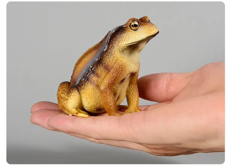 Pädagogische realistische Krötenfrosch-Figur, handbemaltes Wildtier, Insektenfigur, Gummi-Tiermodell, Spielzeug für Kinder – Detail 11
