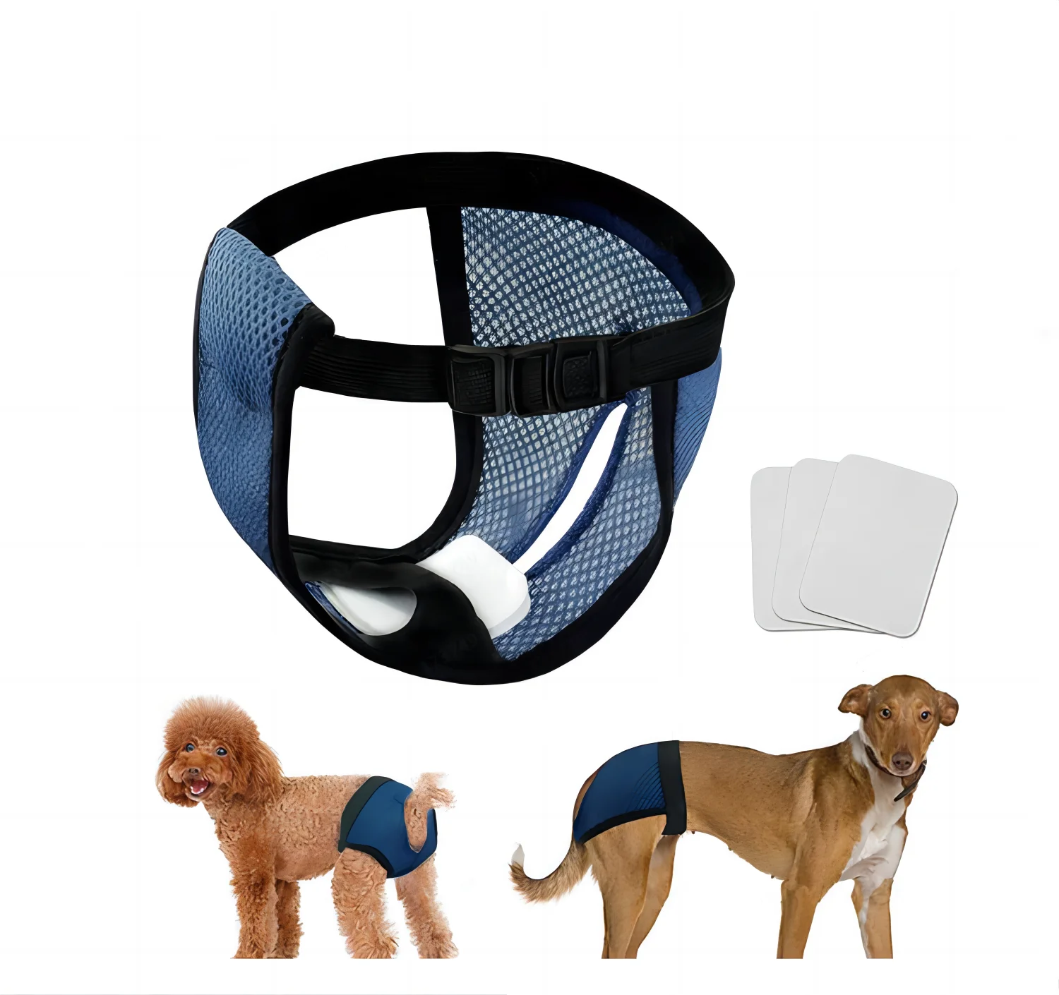 

Pet Supplies Dog Physiological Pants Female Dog Menstrual Pants Aunt Pants Safety Pants Dog Hygiene Diapers Dog Anti Harassment