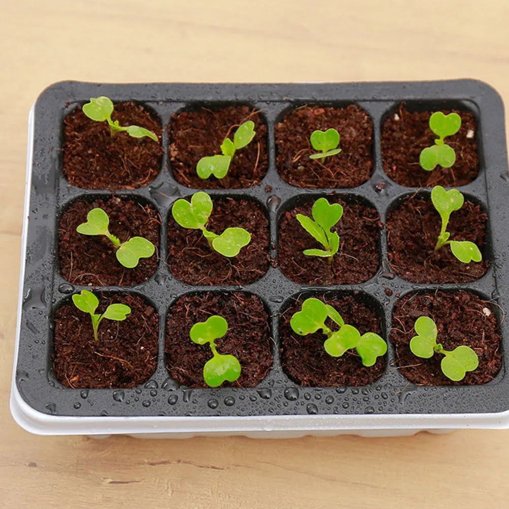 

6pcs Seedling Box Plant Starter Trays Vegetable Nursery Tray Germination Growing Succulent Plastic Lightweight Durable