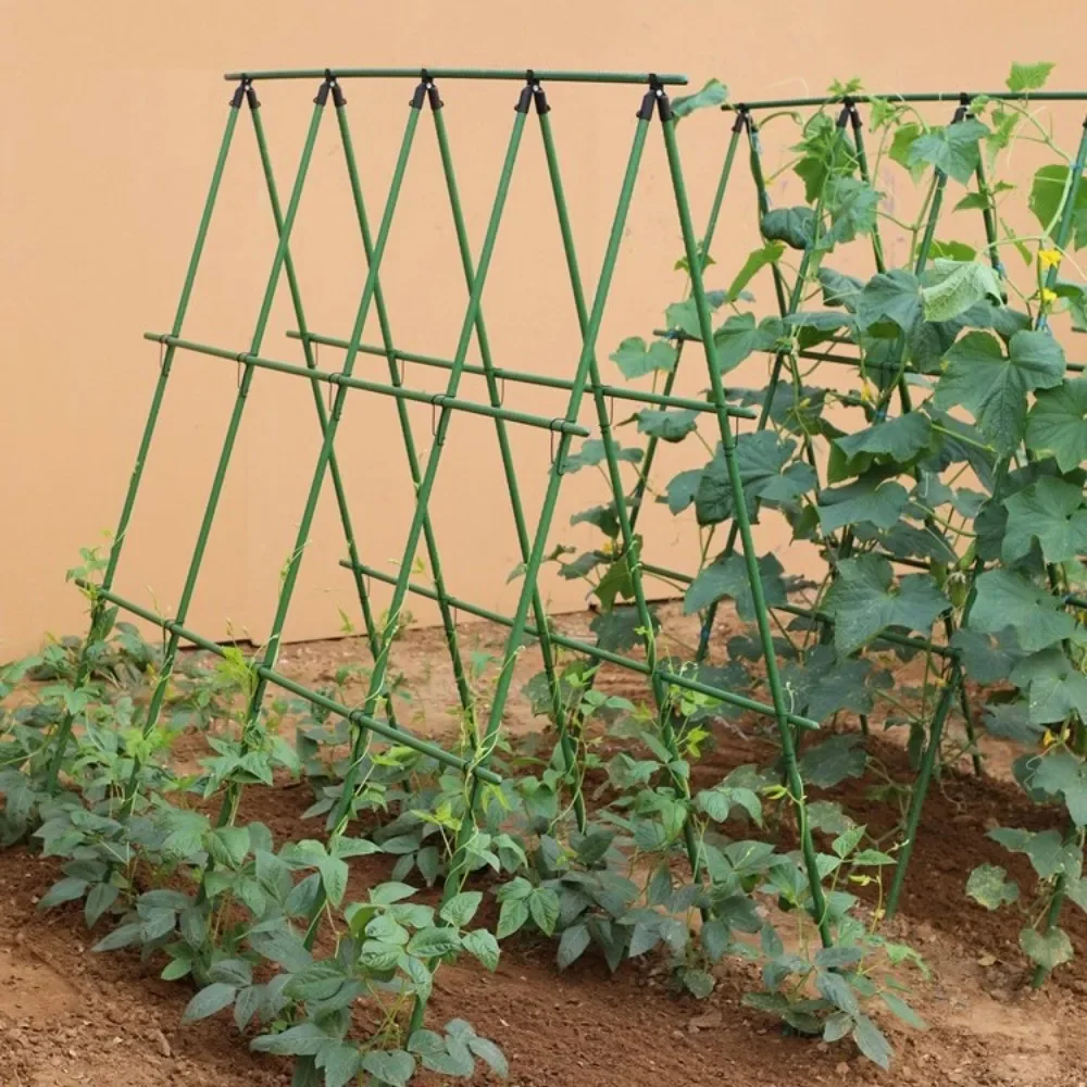 Climbing Poles Cucumber Green Bean Trellises Tomato Trellises Vegetable Plant Support Poles Wrapped Plastic-coated Steel Pipes