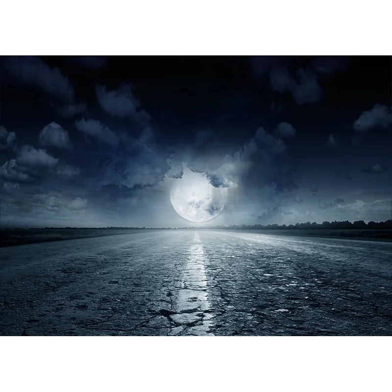 Fondo de fotografía de paisaje Natural de carretera, telones de fondo de vinilo de paisaje de viaje, accesorios de estudio, 2162 TKGL-03