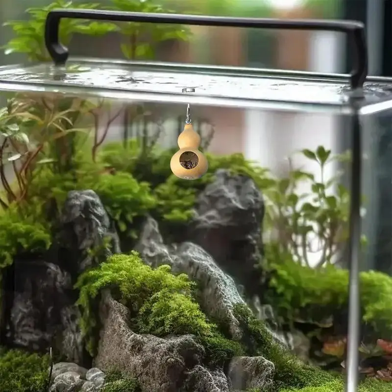 Jumping Spider House | Jumping Spider Hiding Nest With Magnetism | Natural Gourds Jumping Spider Enclosure For Jumping Spiders
