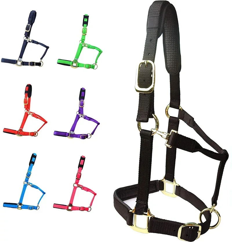 Outdoor Sports Horse Riding Products Equestrian Supplier Customize Horse Halter Adjustable With Cushioned Padding