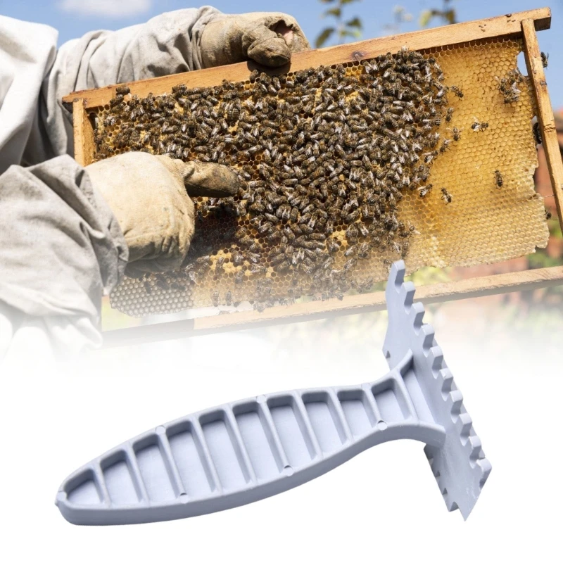 Outil d'apiculture essentiel pour les abeilles rapides sûres