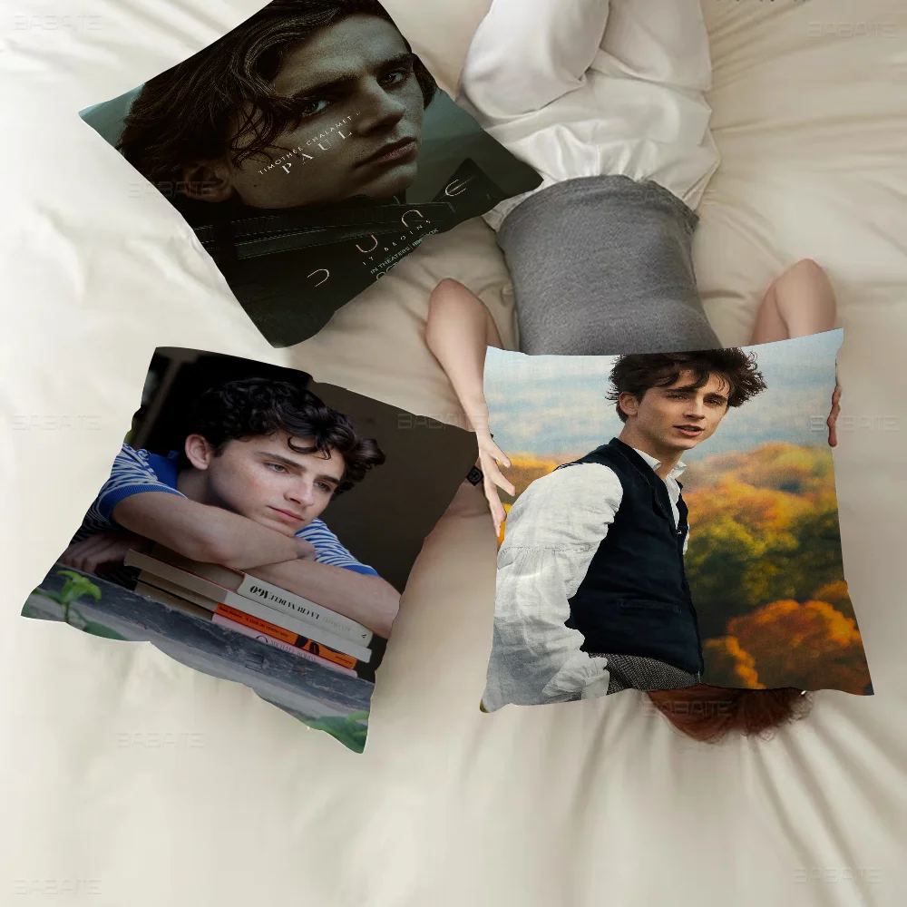 

T-timothee C-chalamet Cushion Cover Pillowcase Upholstery Sofa Throw Pillow Home Decor Pillowcas