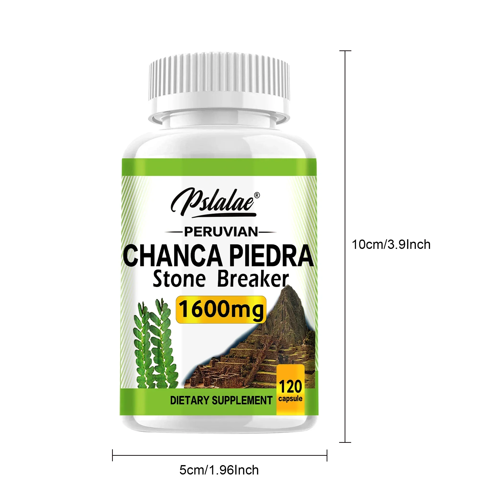 شانكا بيديرا 1600 ملغ - يدعم وظيفة الكلى، وتعزز إزالة السموم، والتنظيف والإصلاح، وتعزز الطاقة - 120 كبسولة