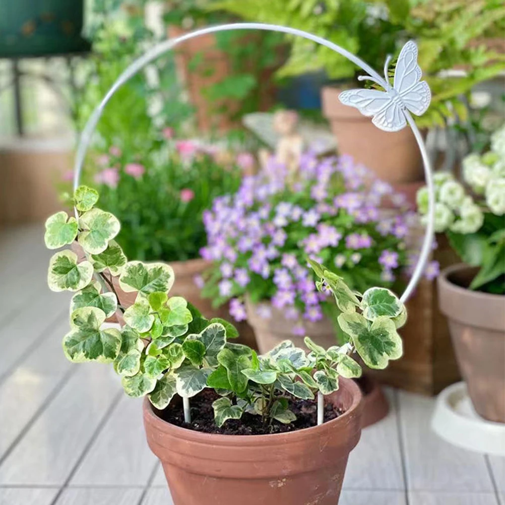 

2pcs Iron Plant Trellis Garden Support for Flower Vines Vegetables Sturdy Round Circle Fixing Rack Use Potted