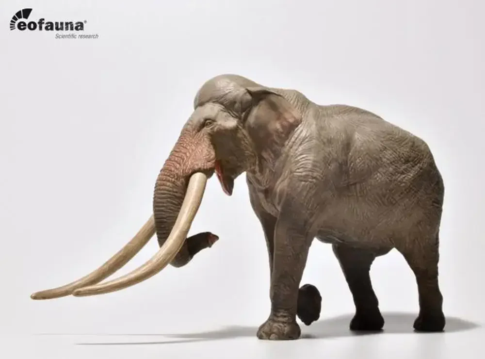 IN STOCK Eofauna 1:35 Scale Straight-tusked Elephant Figure Prehistoric Animal Model Toy Collector Palaeoloxodon Unisex Gift