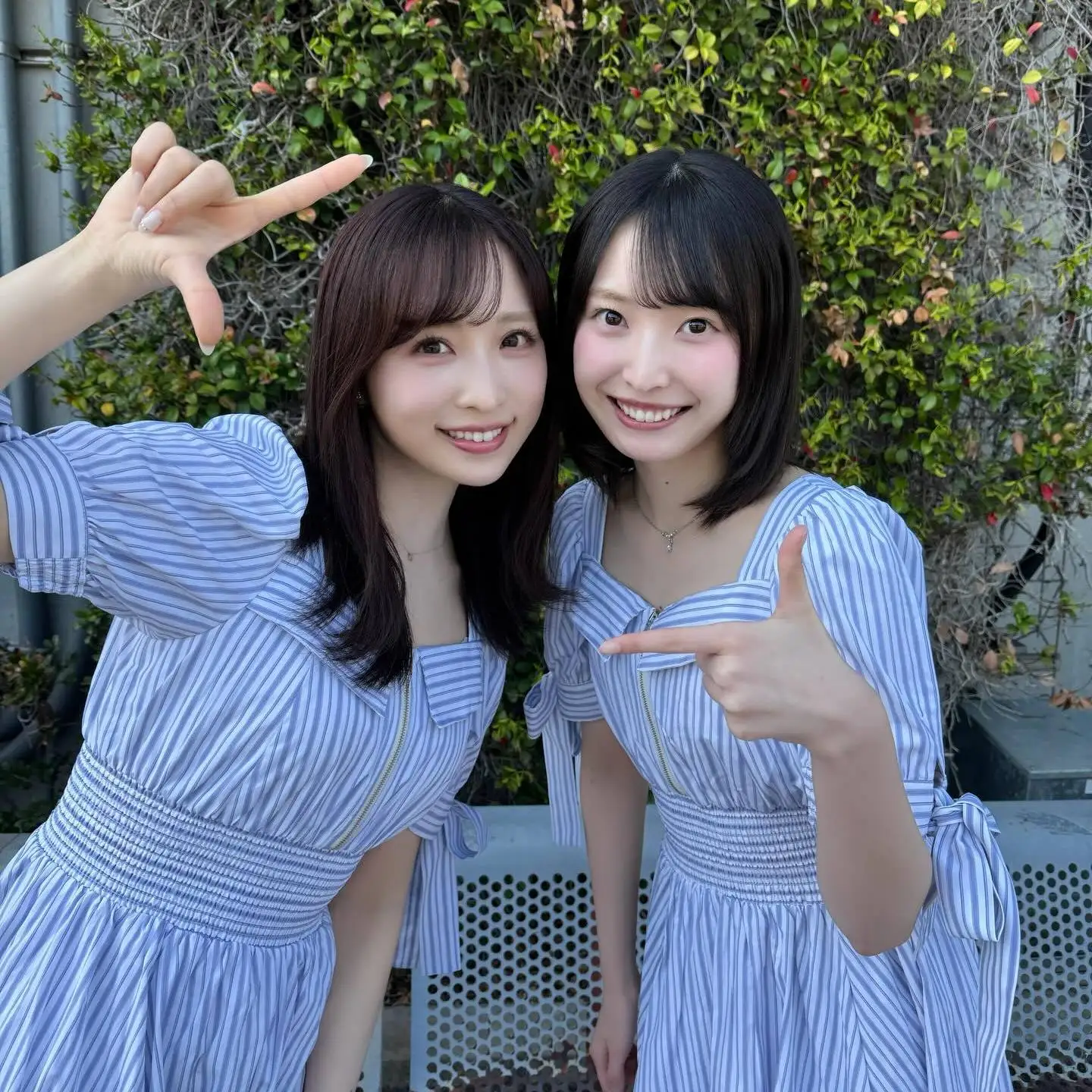 Vestido de trabajo estilo japonés AKB48 para chicas, con cuello cuadrado y cintura con cinturón, falda de punto oficial Pure ...