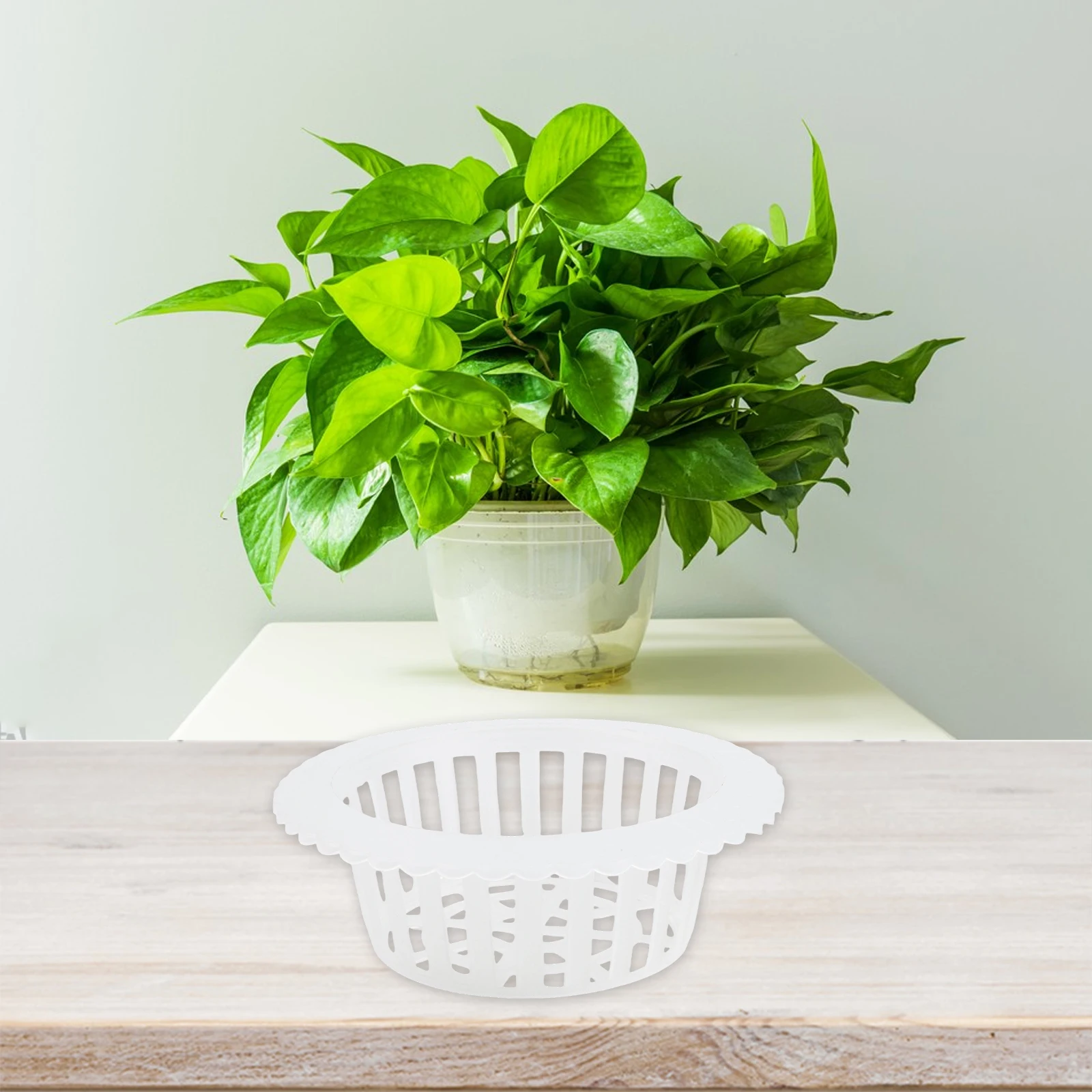 Druable High Quality Brand New Flowerpot Air Circulation Aquarium Mesh Plastic Transparent For Net Cloning Basket