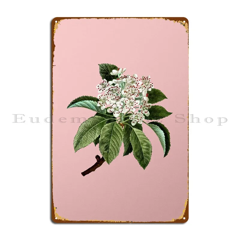 

White Flower Blanc Pink Metal Sign Pub Mural Plaques Pub Plates Print Sign Tin Sign Poster