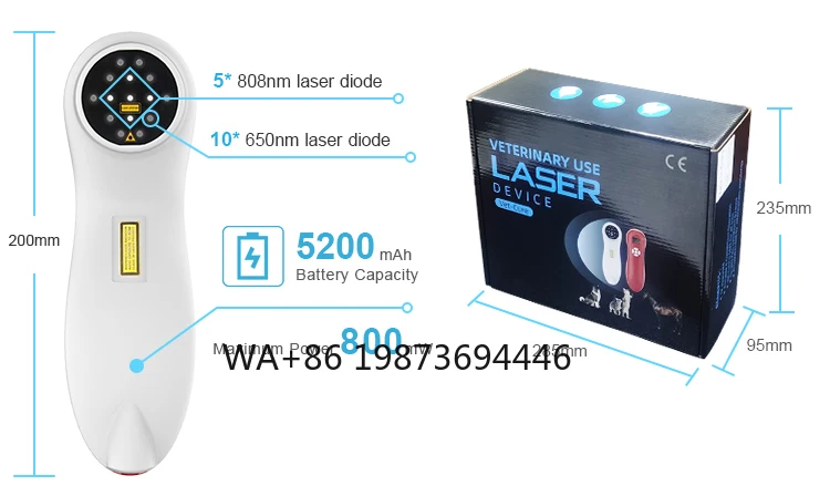 

Convenient Painless Drugless Cold Therapy for Animals Veterinary Instrument for Pain Relief Rehabilitation