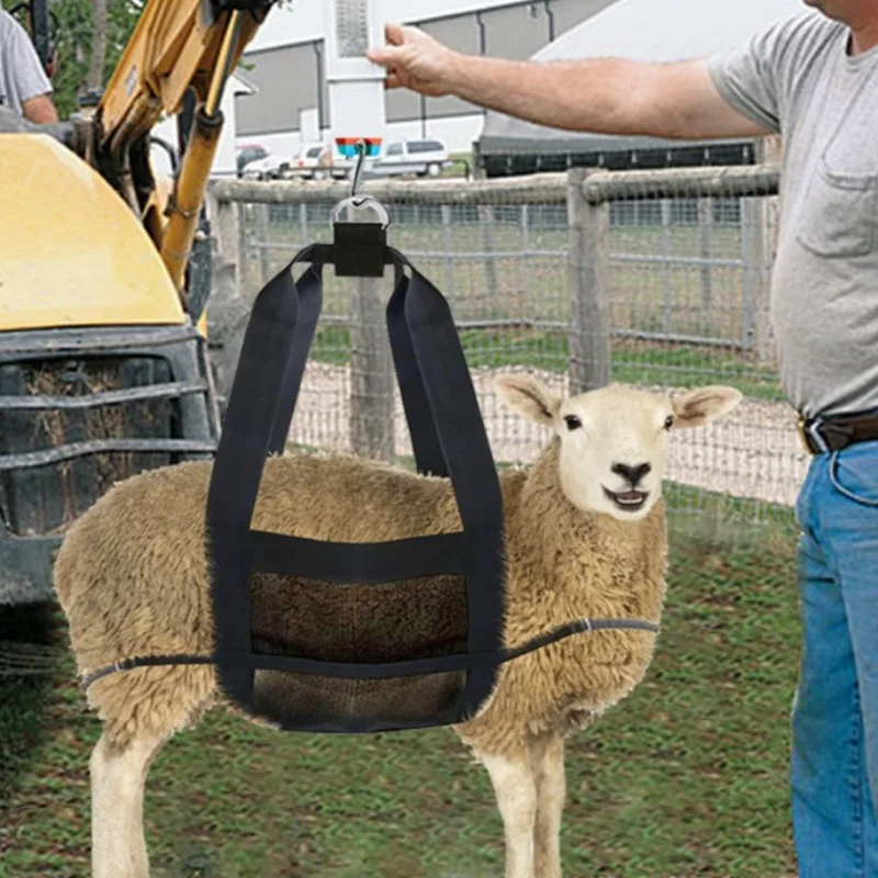 Small livestock weighing sling, calf and lamb livestock weighing suspension scale, sling animal suspension scale, sling