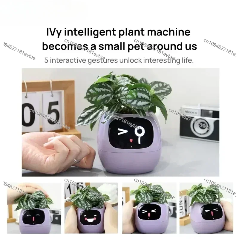 Tuya Ivy Smart Planter,Endless Fun Over 49 Rich Expressions,7 smart sensors,AI Chips Make Raising Plants Easy and Fun