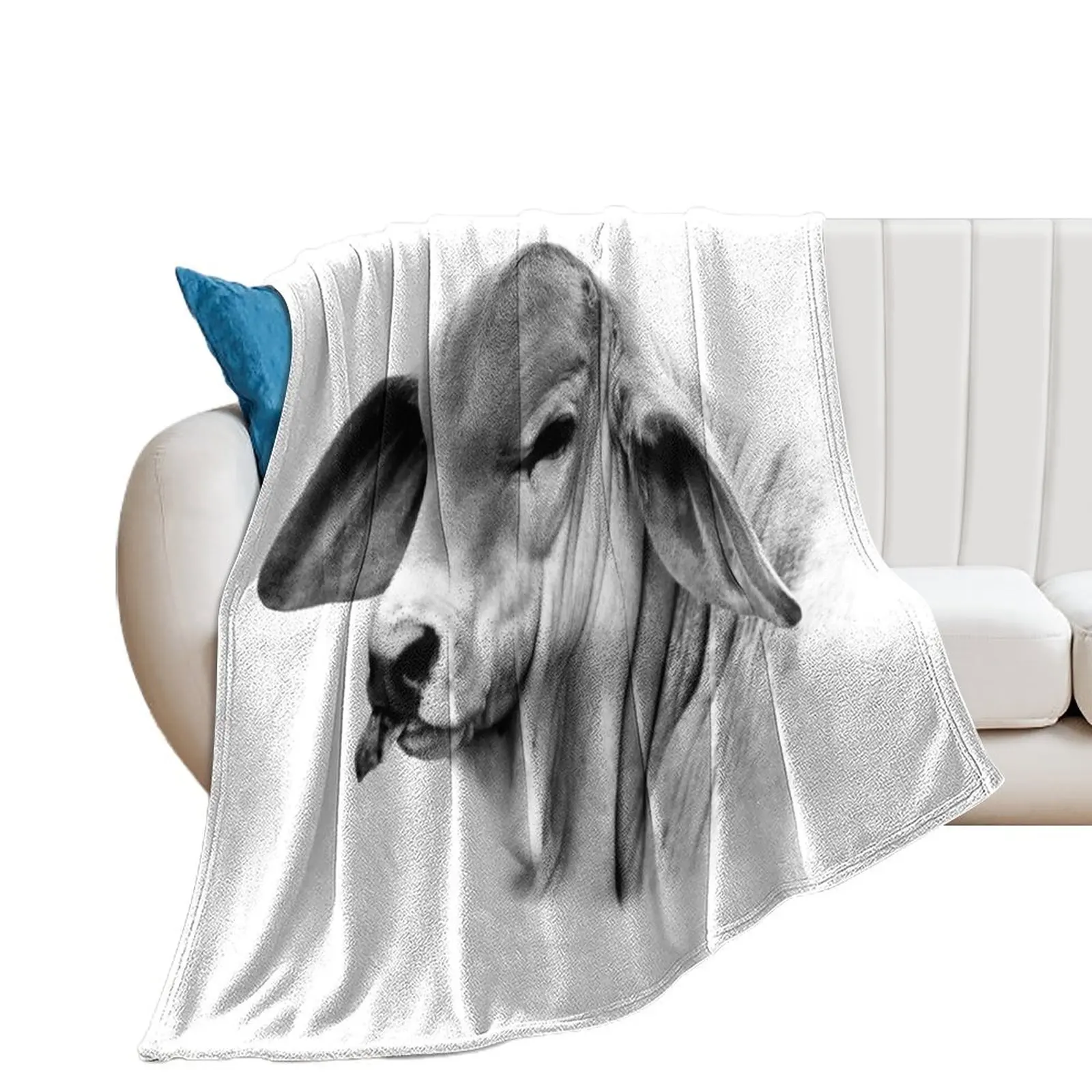 

BRAHMAN CALF, PORTRAIT, WALL ART Throw Blanket Retros valentine gift ideas Blankets